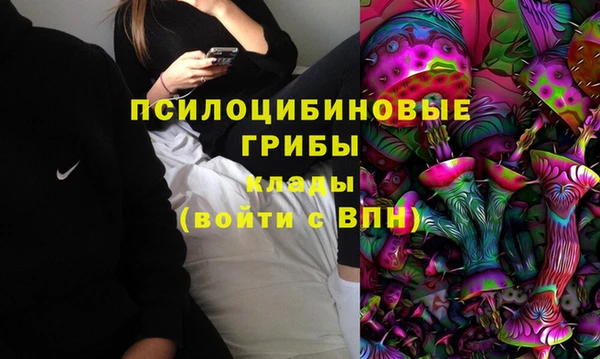 дурь Осинники