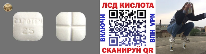купить наркотики сайты Зеленоградск ЛСД экстази ecstasy