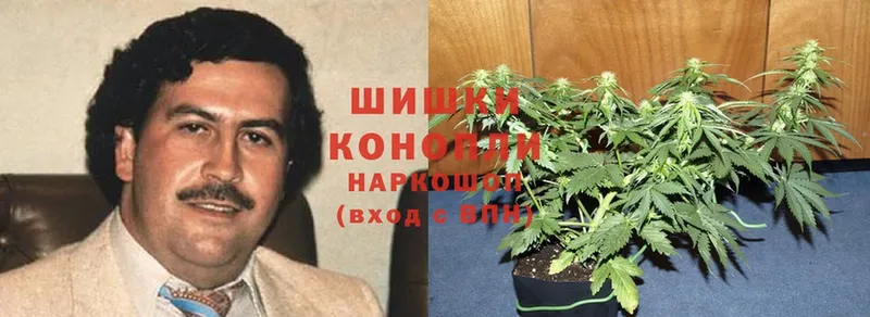 Марихуана Ganja  где продают наркотики  блэк спрут вход  Зеленоградск 